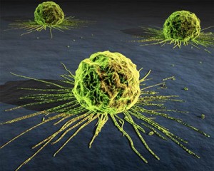 cancer-cells