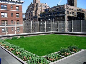 greenroof